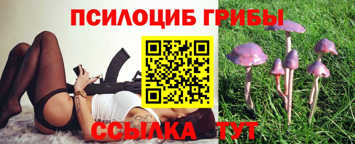 Галлюциногенные грибы GOLDEN TEACHER Сочи