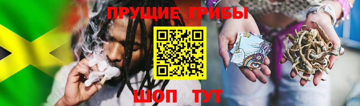 Галлюциногенные грибы GOLDEN TEACHER  наркотики  Сочи  Вход с VPN 