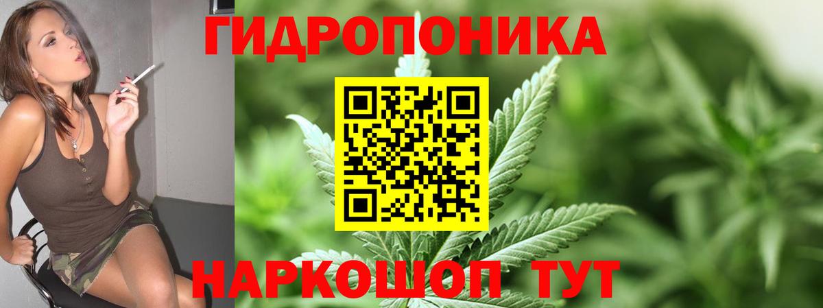 Канабис OG Kush  Конопля план  Сочи  Шишки марихуана план  Вход с VPN 